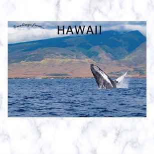 Carte Postale Baleine à bosse qui atteint Lahaina Hawaii