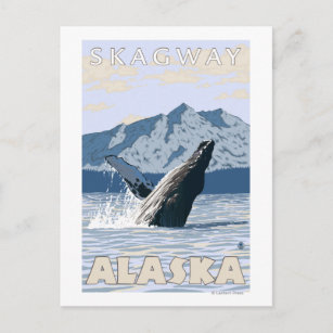 Carte Postale Baleine à bosse - Skagway, Alaska