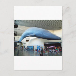 Carte Postale Baleine bleue
