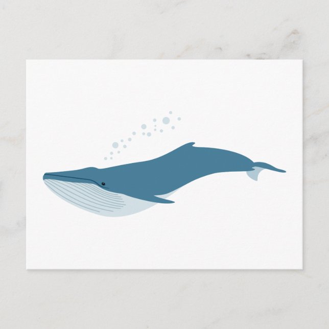 Carte Postale Baleine bleue (Devant)