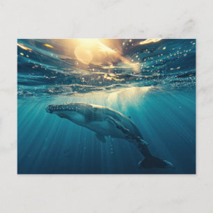 Carte Postale Baleine bleue sous l'eau