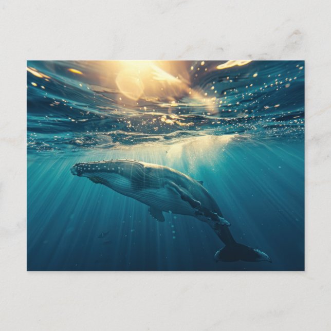 Carte Postale Baleine bleue sous l'eau (Devant)