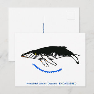 Carte Postale BALEINE cool à dos d'Humpback - Animaux en voie de