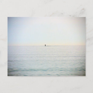 Carte Postale Baleine de plongée