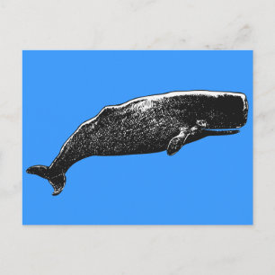 Carte Postale Baleine de Sperm