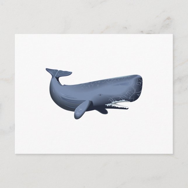 CARTE POSTALE BALEINE DE SPERME (Devant)