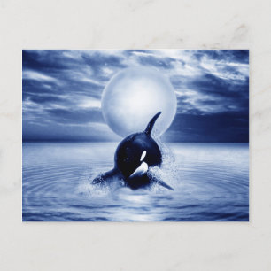 Carte Postale Baleine et lune en 2012