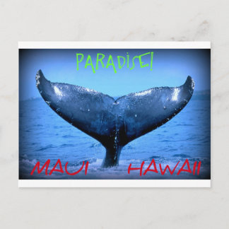 CARTE POSTALE BALEINE TAIL MAUI PARADISE HAWAII