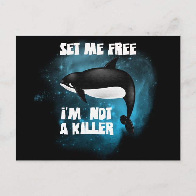 Carte Postale Baleine tueuse - Orca (Devant)