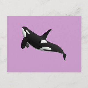 Carte Postale Baleine tueuse, Orcinus Orca