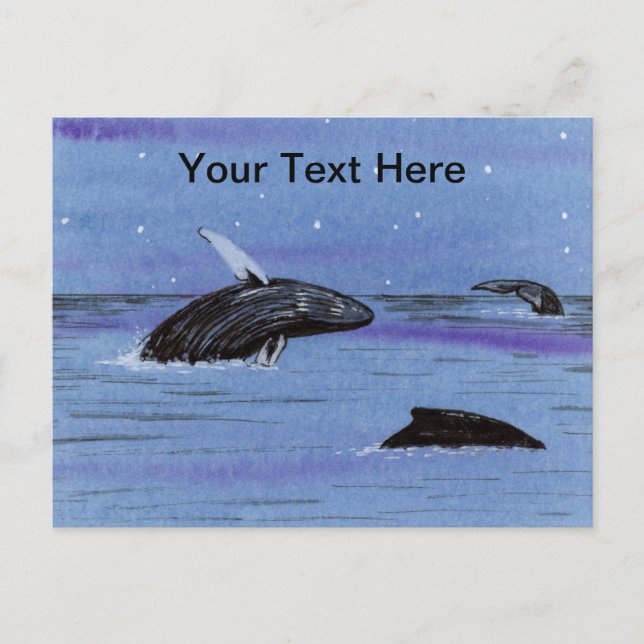 Carte Postale Baleines à bosses (Devant)