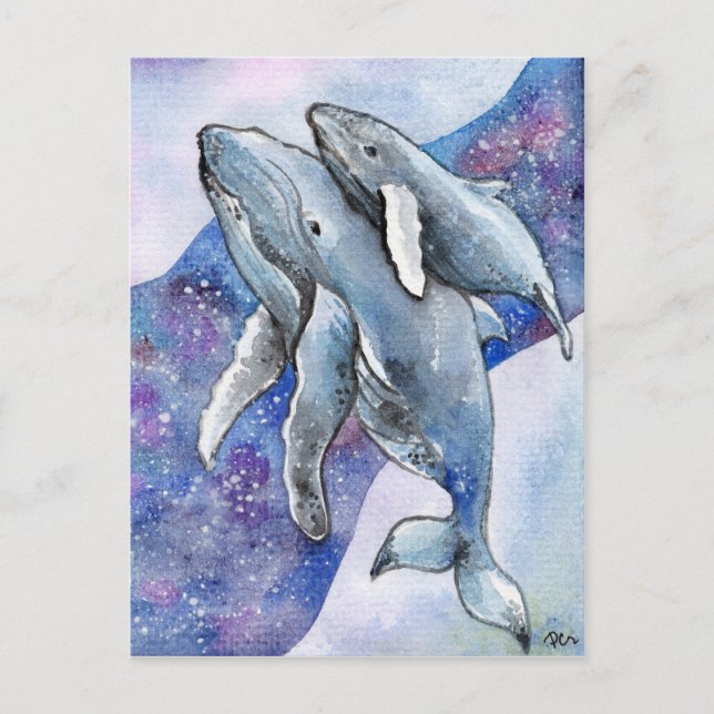 Carte Postale Baleines dans la rivière Star (Devant)