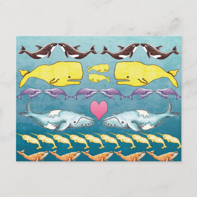Carte Postale Baleines de la mer (Devant)