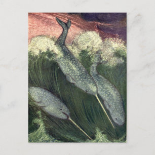 Carte Postale Baleines vintages, Vie Marine Animaux de l'océan