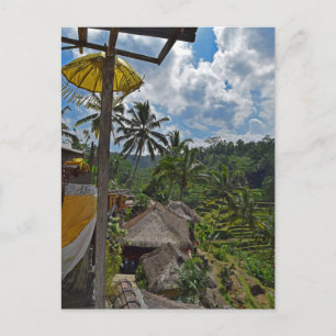 Carte Postale Bali Indonésie Champs de riz en terrasse