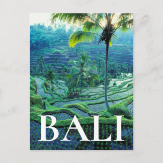 Carte Postale Bali | Vue d'ensemble des rizières