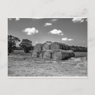 Carte Postale Balles de foin dans la campagne Norfolk