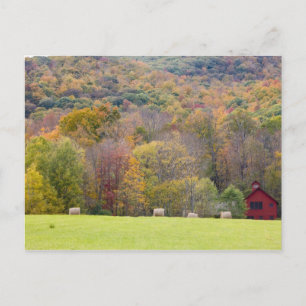 Carte Postale Balles de foin et feuillage d'automne, sur une fer