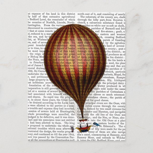 Carte Postale Ballon Royal Nassau à air chaud (Devant)