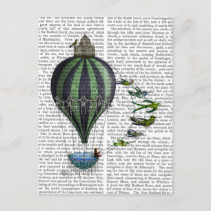 Carte Postale Ballons à air chaud et oiseaux
