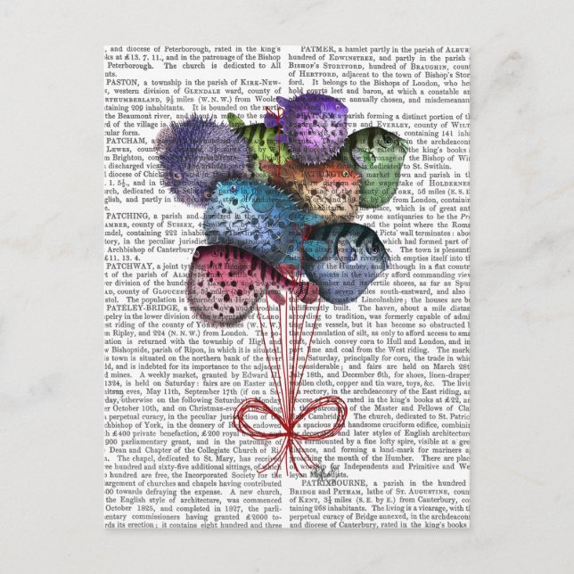 Carte Postale Ballons à poissons (Devant)