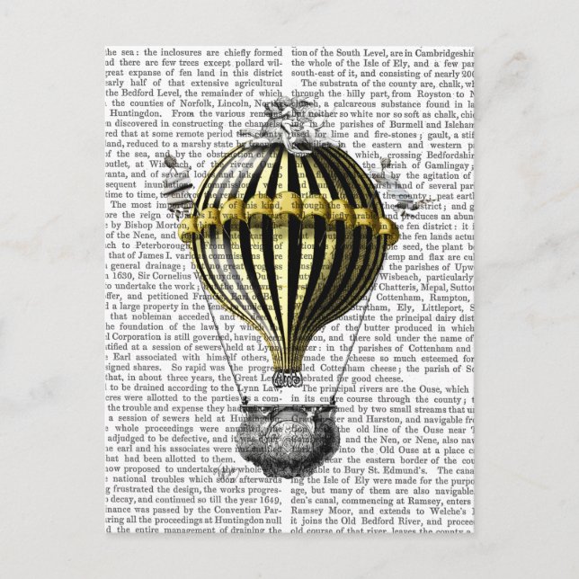 Carte Postale Balloon d'Imaginaire baroque 3 (Devant)
