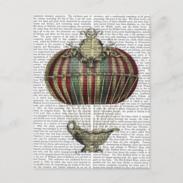 Carte Postale Balloon d'Imaginaire baroque 4 (Devant)