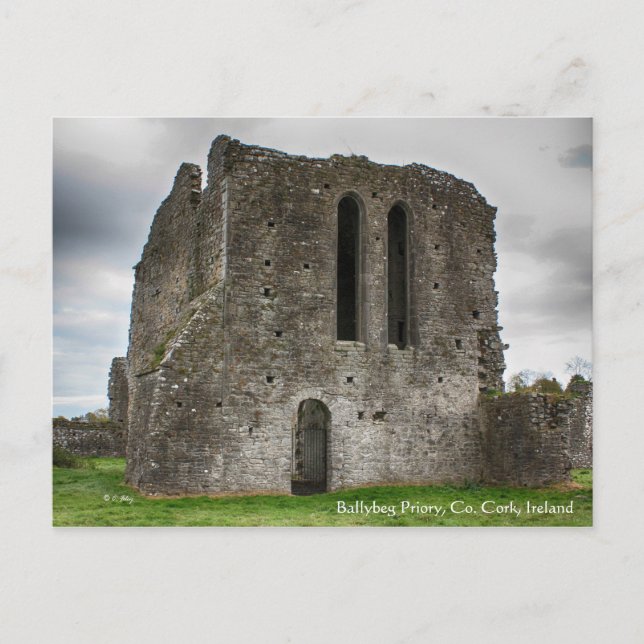 Carte Postale Ballybeg Priory, Ireland Postcard (Devant)
