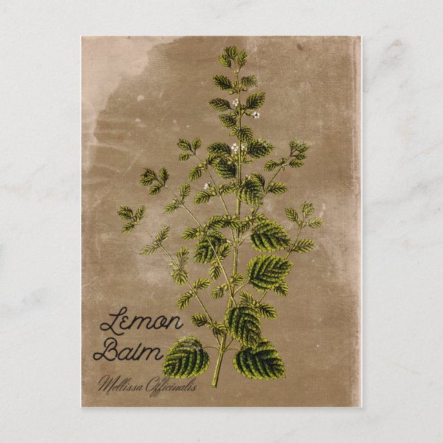 Carte postale Balm en citron de style vintage (Devant)
