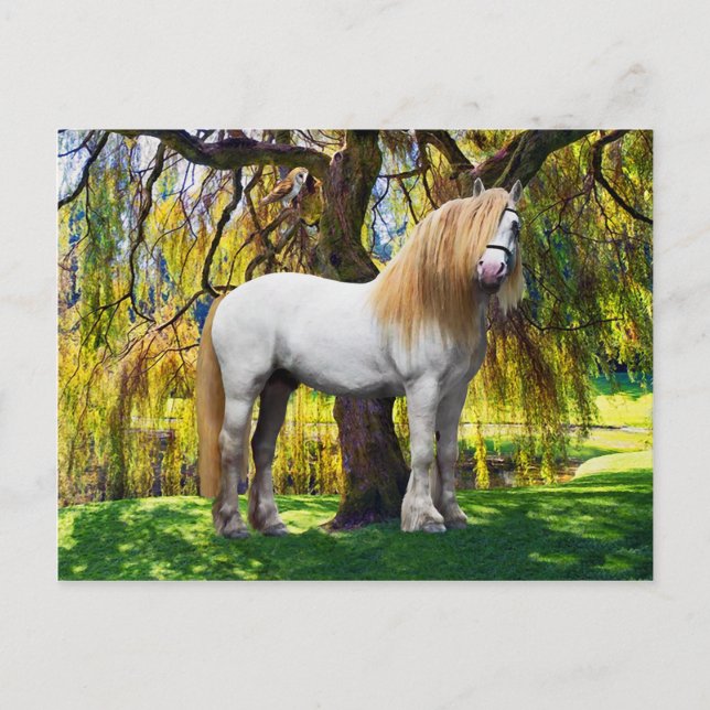 Carte postale "Balthasar" (Devant)