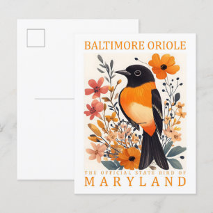 Carte Postale Baltimore Oriole Bird of Maryland USA Travel