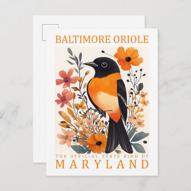 Carte Postale Baltimore Oriole Bird of Maryland USA Travel (Devant / Derrière)