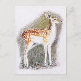 Carte Postale Bambi