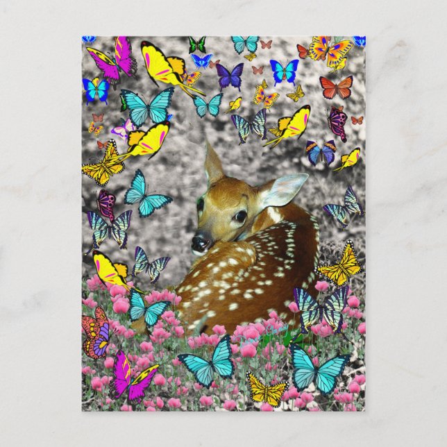 Carte Postale Bambina, la Faune à queue blanche dans les papillo (Devant)