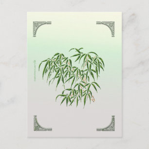 Carte postale Bambou