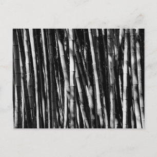 Carte Postale Bambou