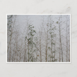 Carte Postale bambou