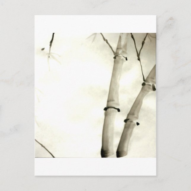 Carte Postale Bambou et feuille (Devant)