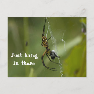 Carte Postale Banana Spider Web Juste accrochez-vous là