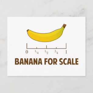 Carte Postale Banane à échelle