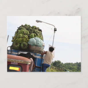 Carte Postale Bananes