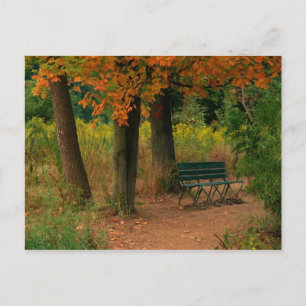 Carte Postale banc