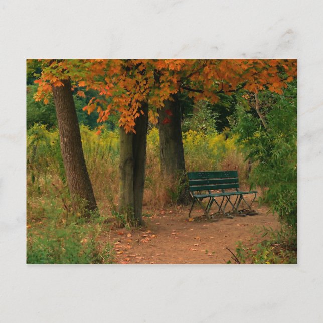 Carte Postale banc (Devant)