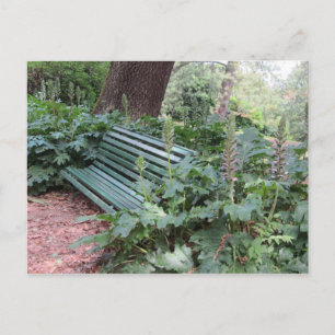 Carte Postale Banc dans le parc