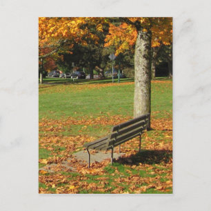 Carte postale Banc d'automne Park