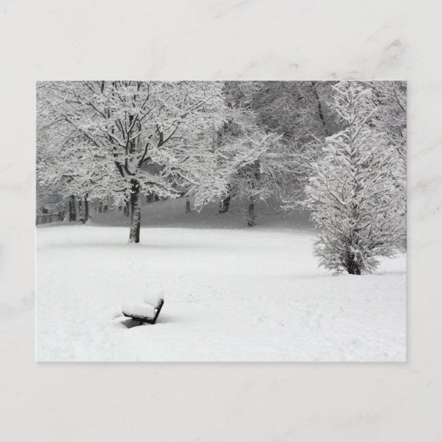 Carte Postale Banc de neige et arbres (Devant)