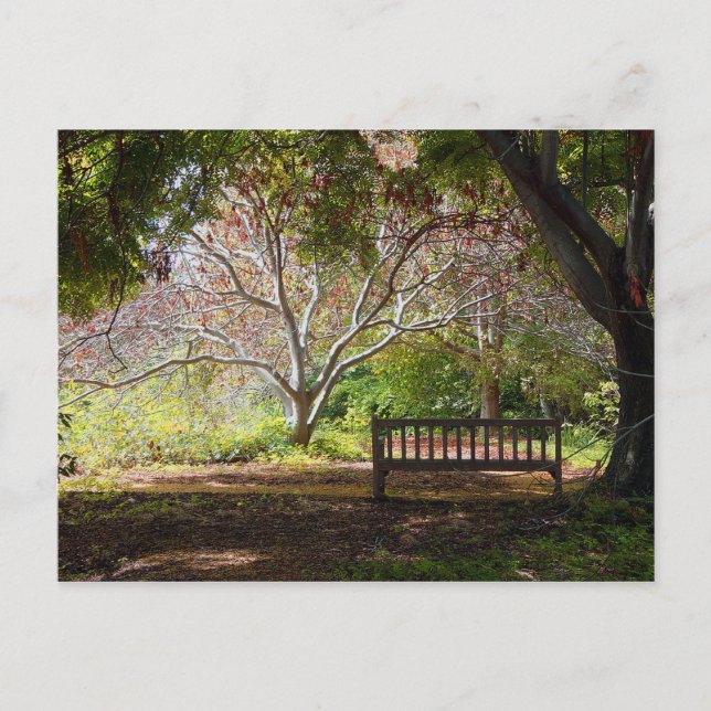 Carte Postale Banc de parc (Devant)