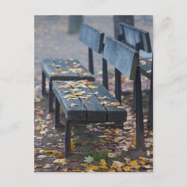 Carte Postale Banc de parc du matin Foggy, Allemagne (Devant)