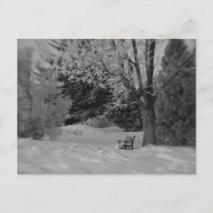 Carte Postale Banc de parc en hiver