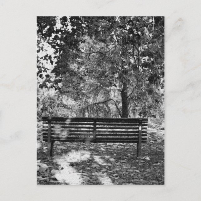 Carte Postale Banc du parc (Devant)